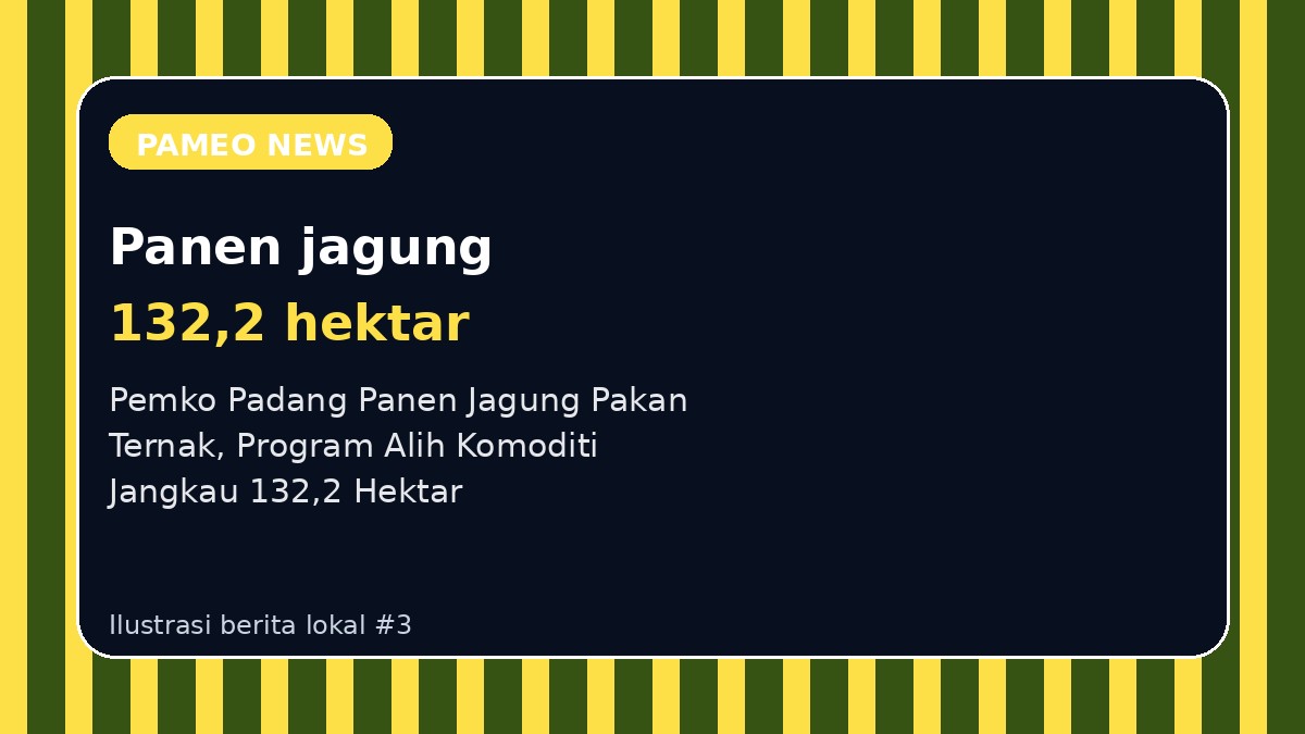 Pemko Padang Panen Jagung Pakan Ternak, Program Alih Komoditi Jangkau 132,2 Hektar
