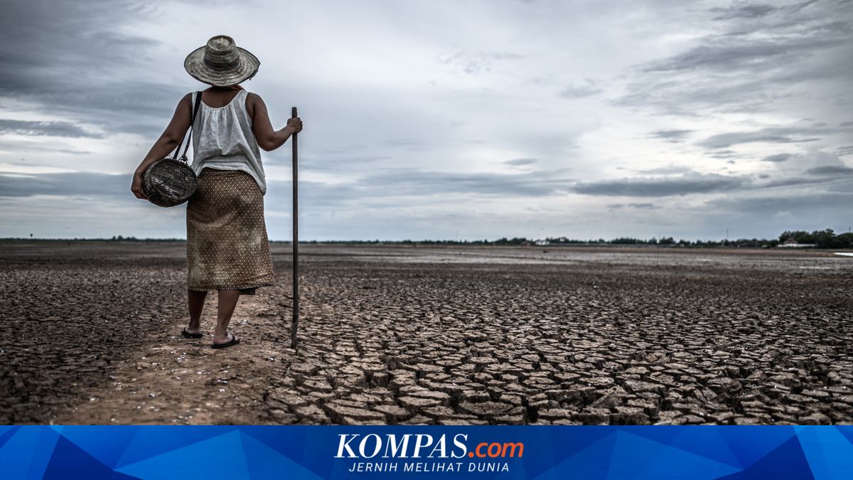 BMKG: Indonesia Masuk Fase El Nino Kuat, Enam Provinsi Fokus Karhutla