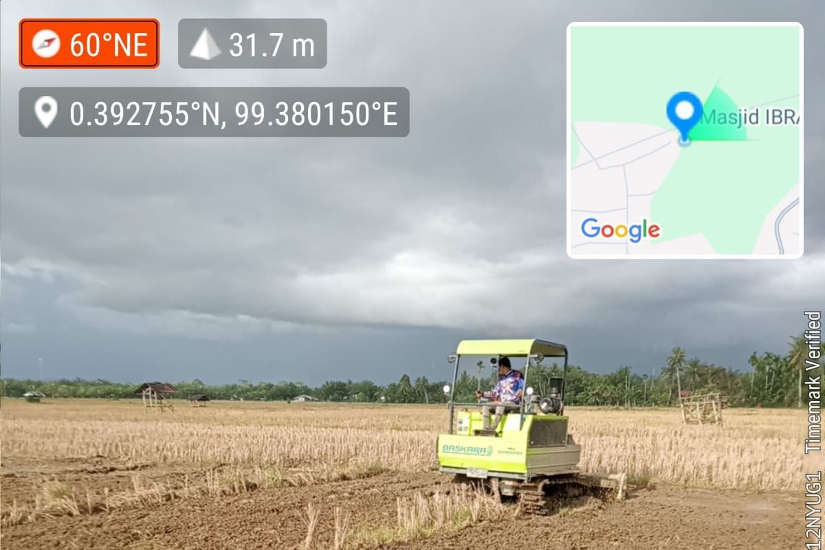 Pemkab Pasaman Barat Bentuk Tiga Brigade Pangan, Genjot Produksi 85.588 Ton di 2026